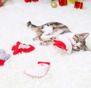 5 giocattoli da regalare al gatto a Natale, davvero stupendi