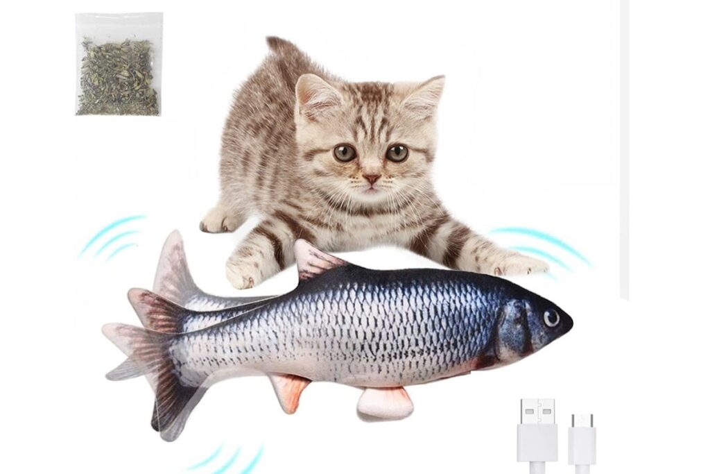 pesce interattivo
