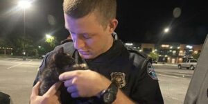 Poliziotto salva un gattino abbandonato e decide di adottarlo