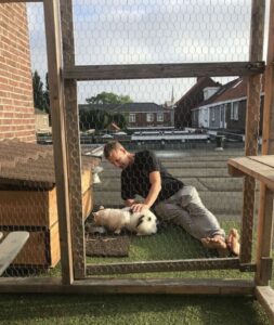 Gattina gelosa della sua nuova casa