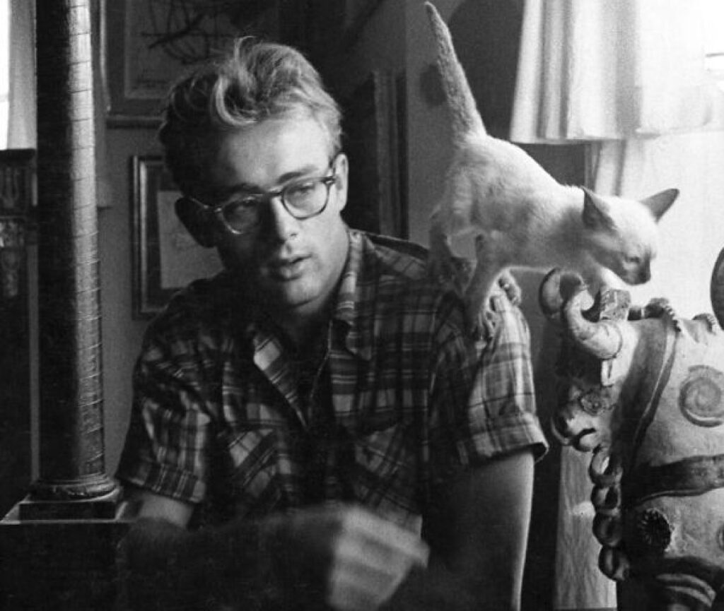 james dean con gatto 