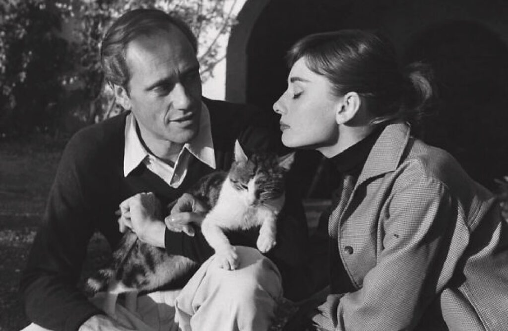 audrey hepburn marito e gatto 