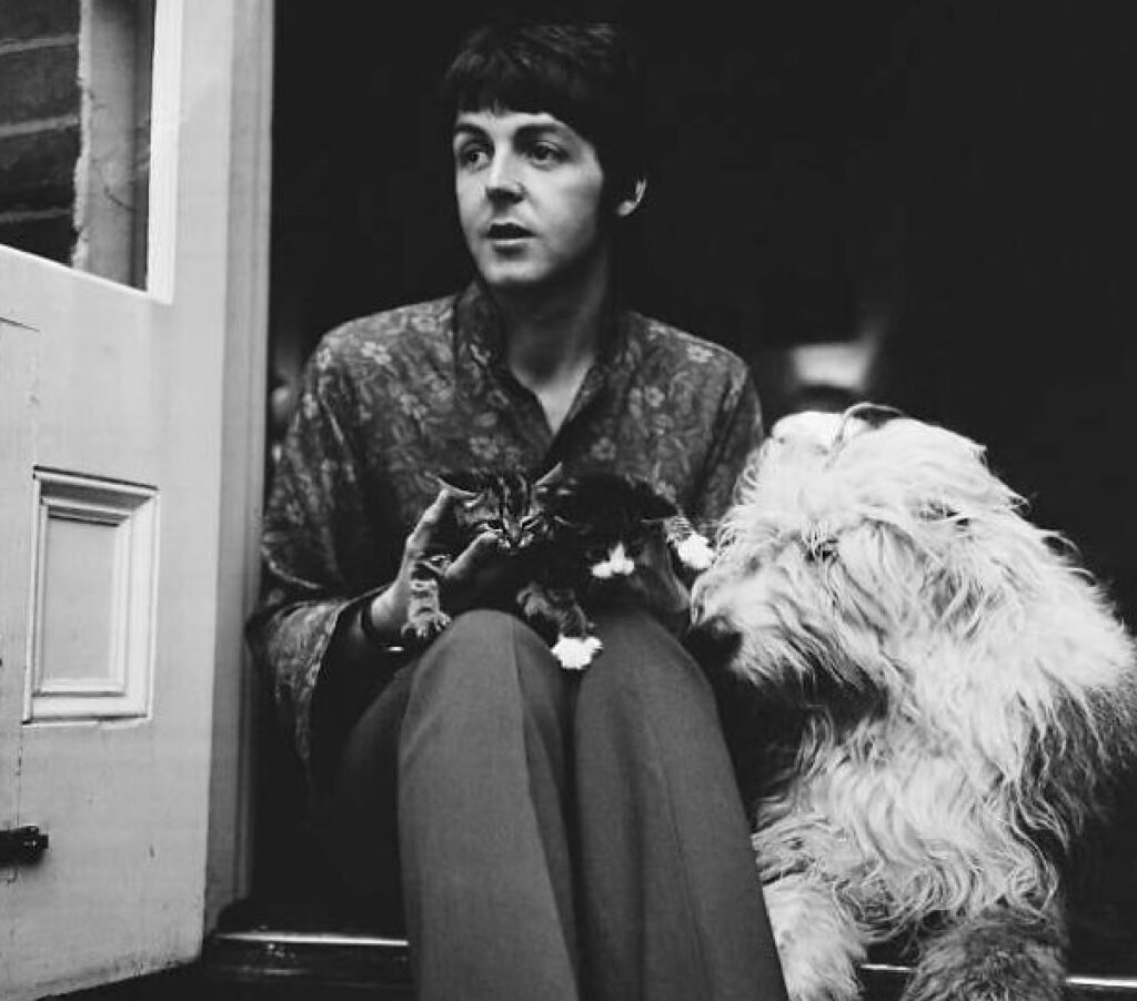 mccartney seduto con animali 