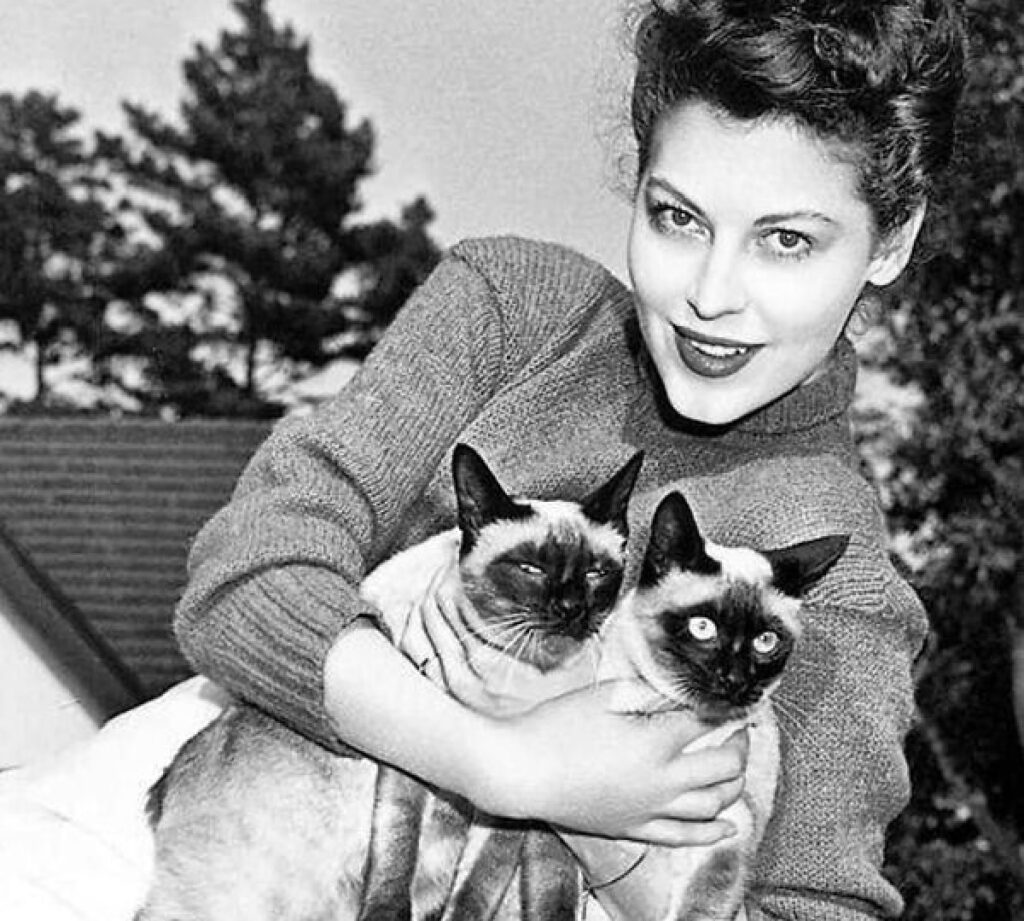 ava gardner due siamesi 