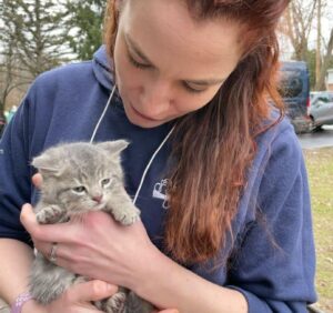 Berlioz, il gattino trovato in mezzo ad una strada