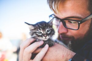 Uomo finge di essere un gatto: interpretazione da oscar