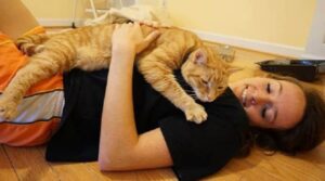 Mr Tumnus, il gatto che ha scelto i suoi umani