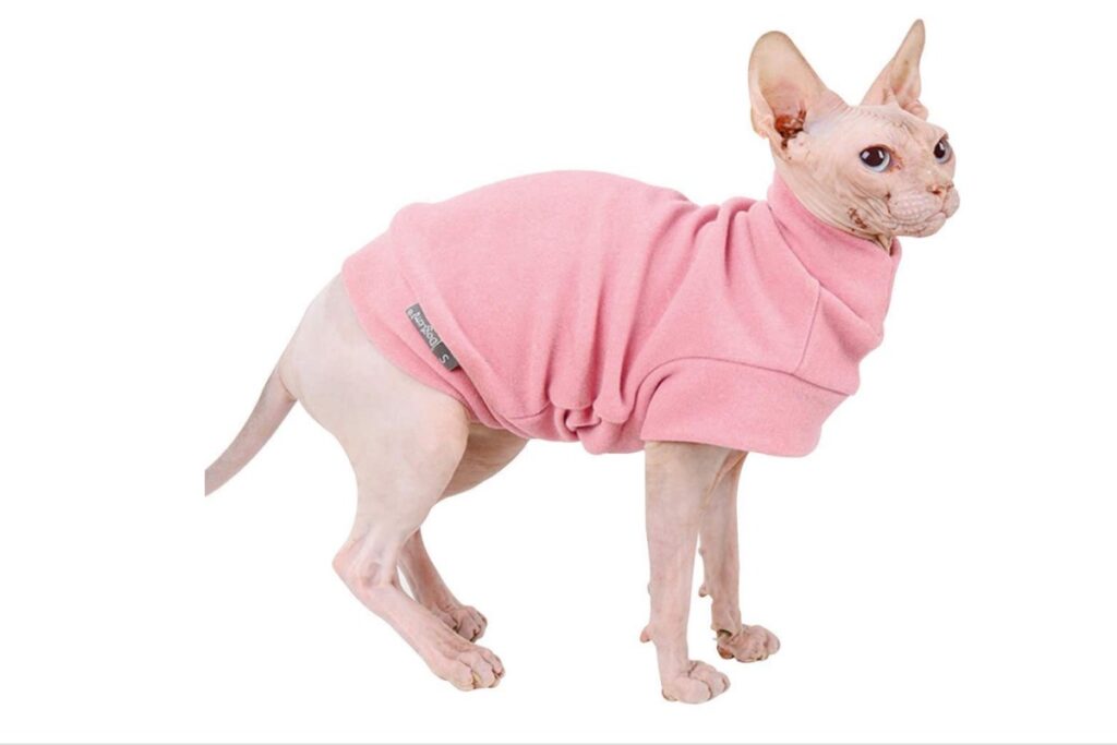 abito di felpa per gatto