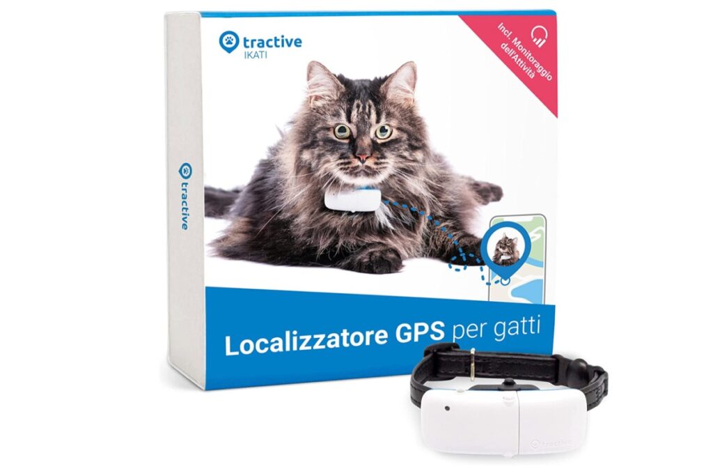 localizzatole GPS per gatto