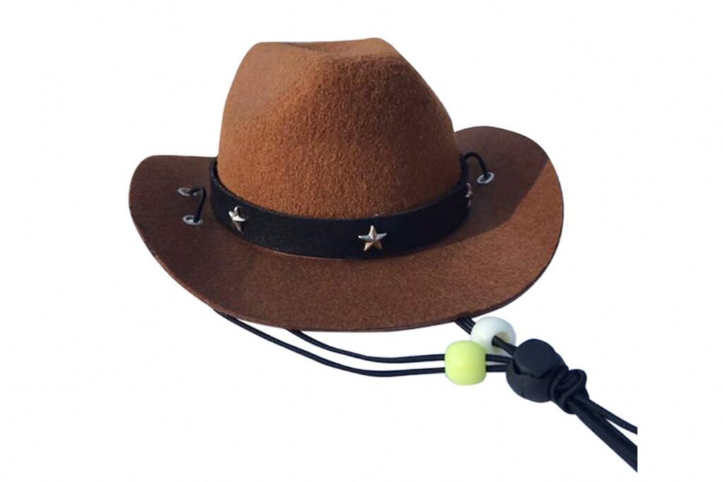 cappello da cowboy per gatti