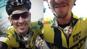 Ciclista salva un gattino randagio durante il suo percorso in bici