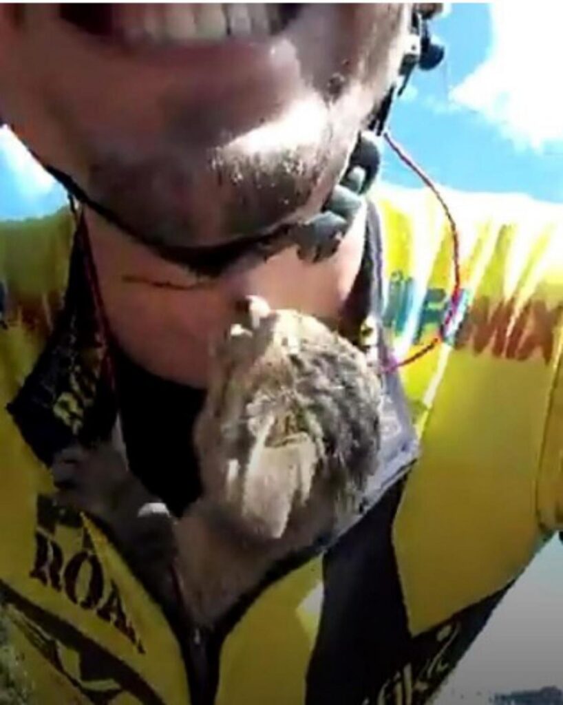 ciclista pedala con gatto