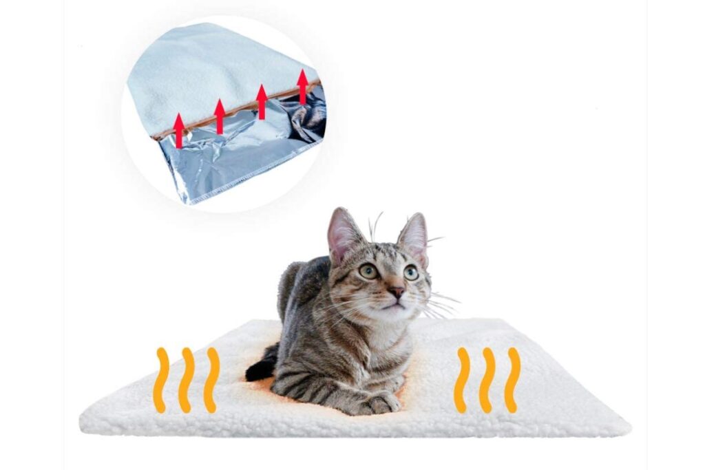coperta autoriscaldante per gatti e gattini
