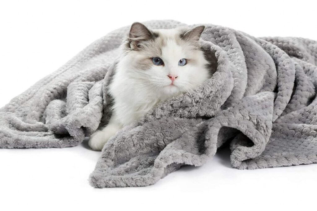 coperta morbida per gatti