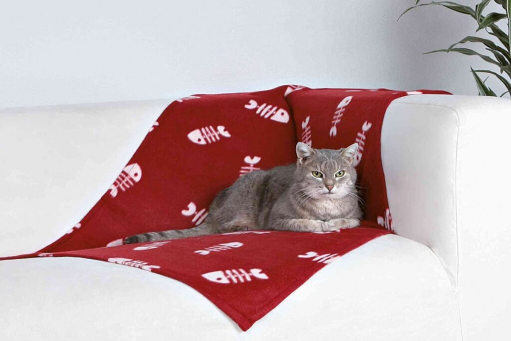 coperta per gatto