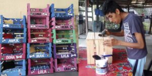 Un giovane disabile costruisce cucce per cani e gatti e li vende per provare ad essere indipendente