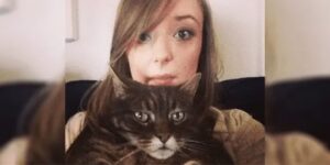 Una donna sostituisce il suo ex fidanzato con un gattino nelle foto di famiglia