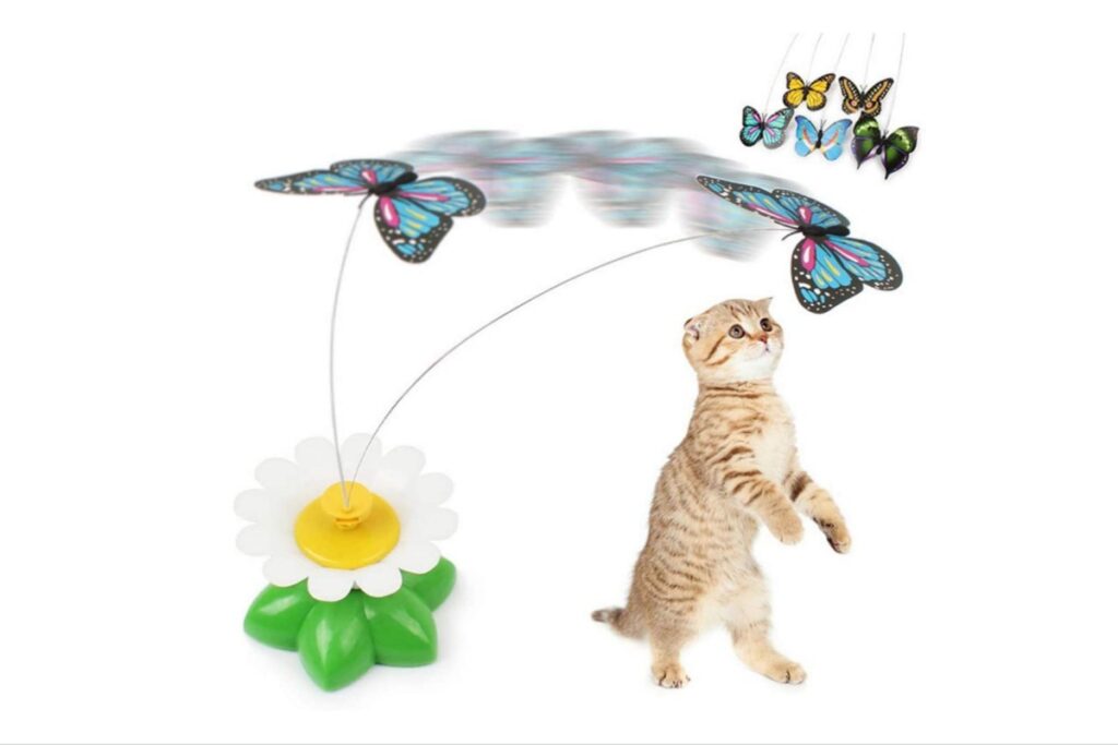 giocattolo interattivo per gattini