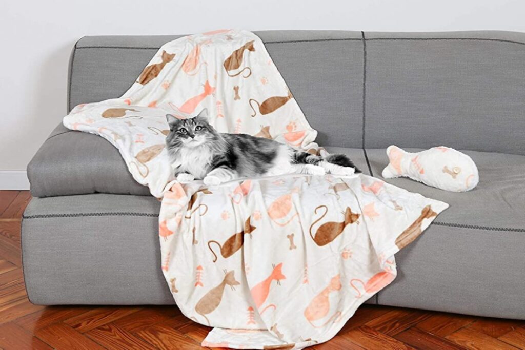 coperta per divano