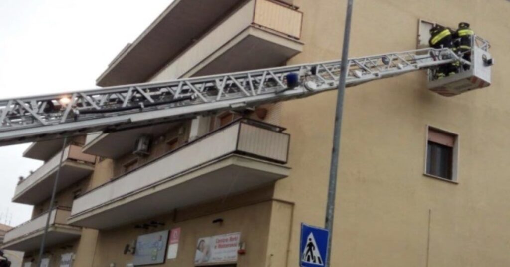 pompieri salvano un gatto con la scala