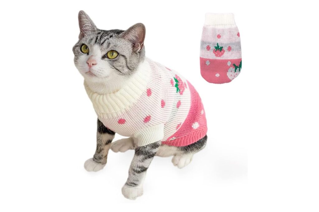 maglione per gatto