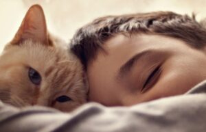 4 consigli per far conoscere un gatto e un bambino