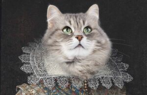 5 consigli per acquistare un ritratto per il tuo gatto