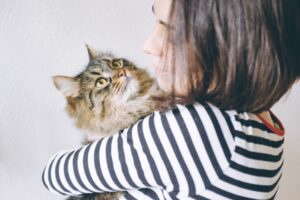 5 modi attraverso i quali si può dimostrare amore verso il proprio gatto