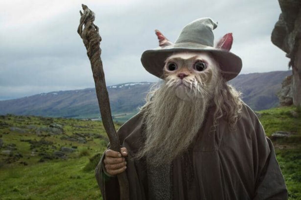 micio barba gandalf