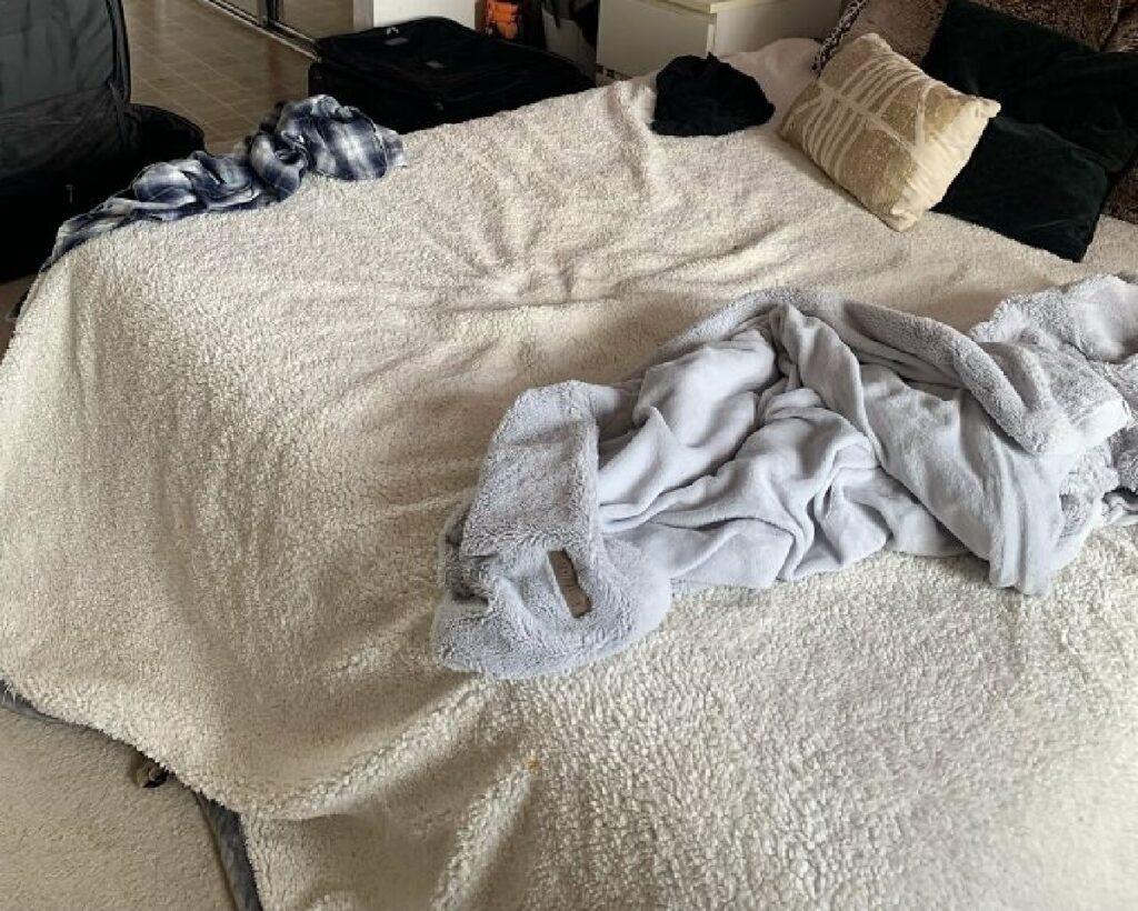 gatto coperta base letto 