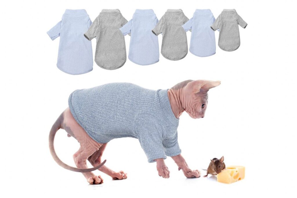 maglione per gatti senza pelo