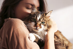 5 cose perfette per dire “ti amo” al gatto: San Valentino a tutto miao!