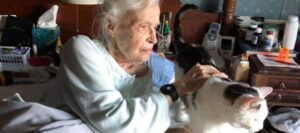 Adottano il gatto più anziano del rifugio per fare compagnia alla nonna di 101 anni