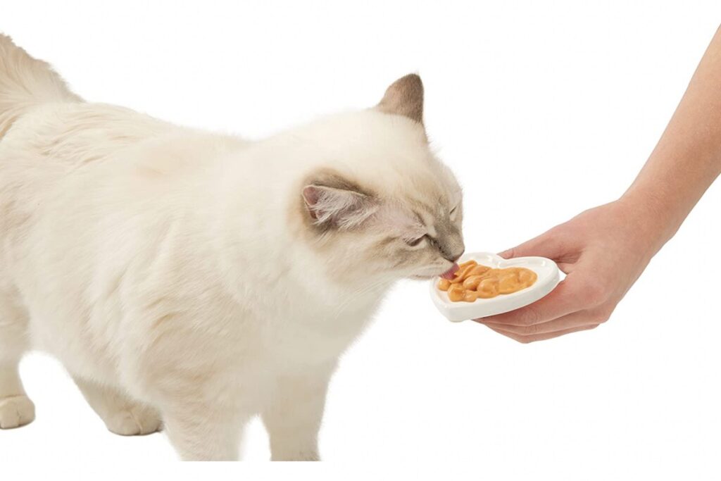 snack cremoso per gatti