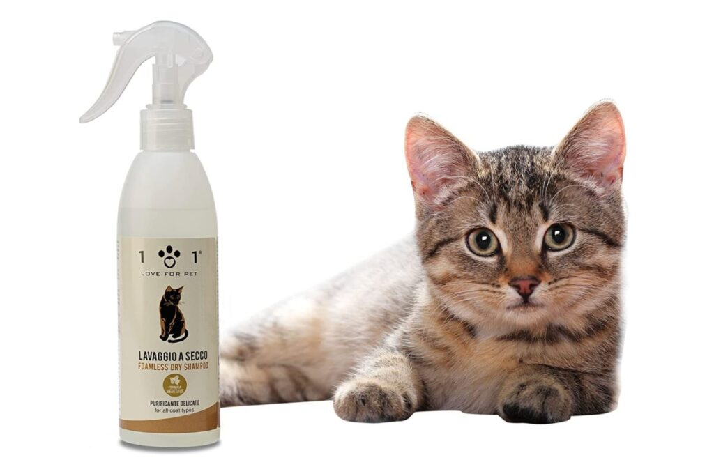 shampoo a secco per gatti