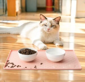 5 tappetini sottociotola perfetti per i gatti un po’ “pasticcioni”