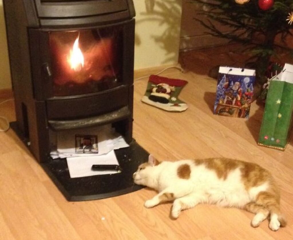 gatto davanti stufa riscaldarsi 