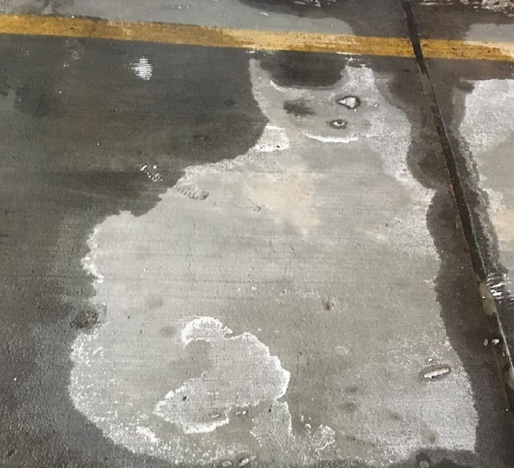 parcheggio auto macchia gatto