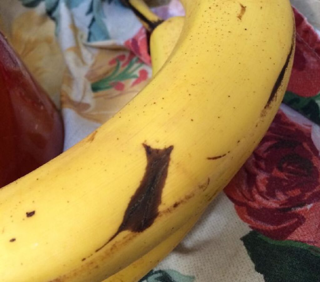 gatto nero su giallo di banana