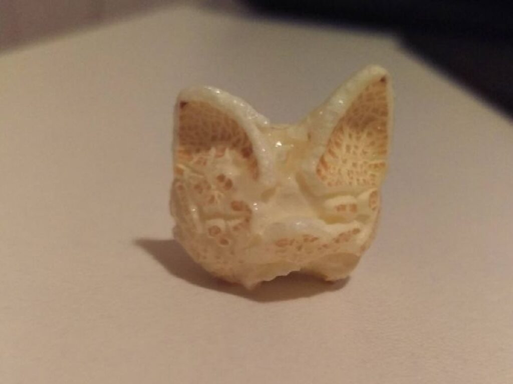 gatto popcorn volto 