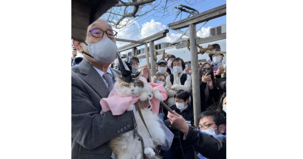 gatto diventa sacerdote di un santuario in Giappone con una cerimonia ad hoc