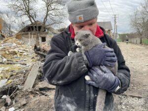 Mishka, la gatta sopravvissuta ai bombardamenti