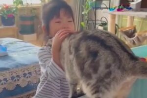 Motor, il gatto che corre a consolare la sua padroncina (VIDEO)