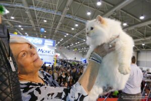L’International Cat Federtion (FIFE) punisce i concorrenti russi e gli vieta la partecipazione alle mostre