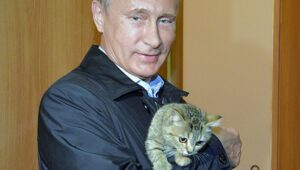 Gattini contro Putin; la Fife emette delle sanzioni contro i gatti presenti in Russia