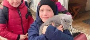 Bambino ucraino piange dall’emozione quando riabbraccia il suo gattino perso nei bombardamenti