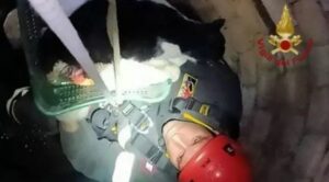 Il gatto caduto in un pozzo di 15 metri viene salvato dai pompieri grazie a tecniche speciali