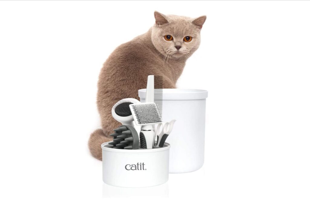 set per gatto a pelo corto