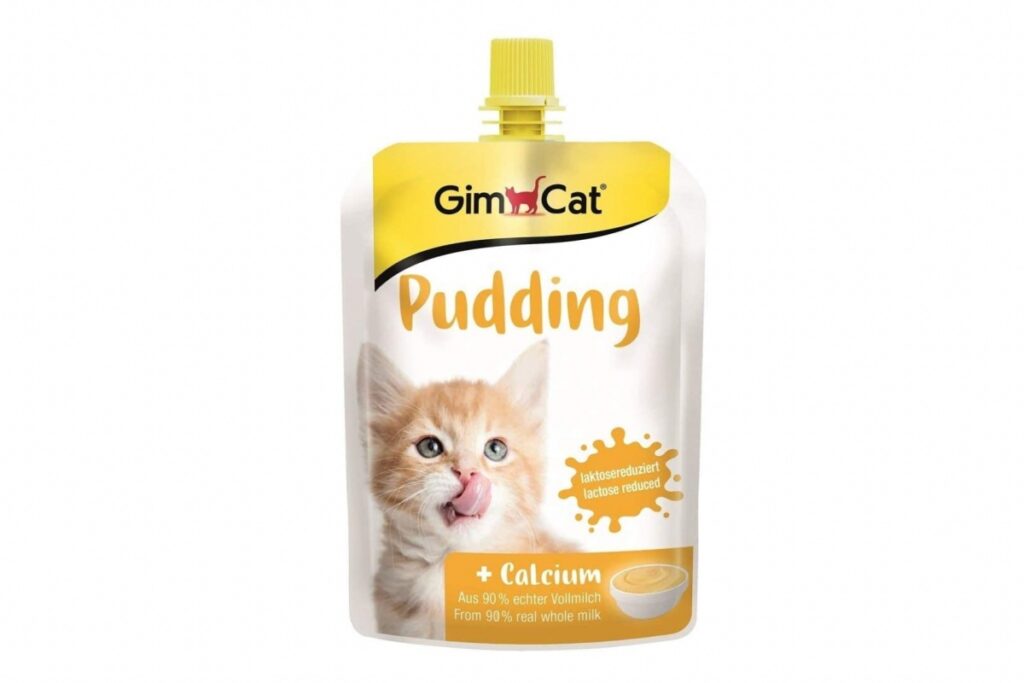 pudding per gattini