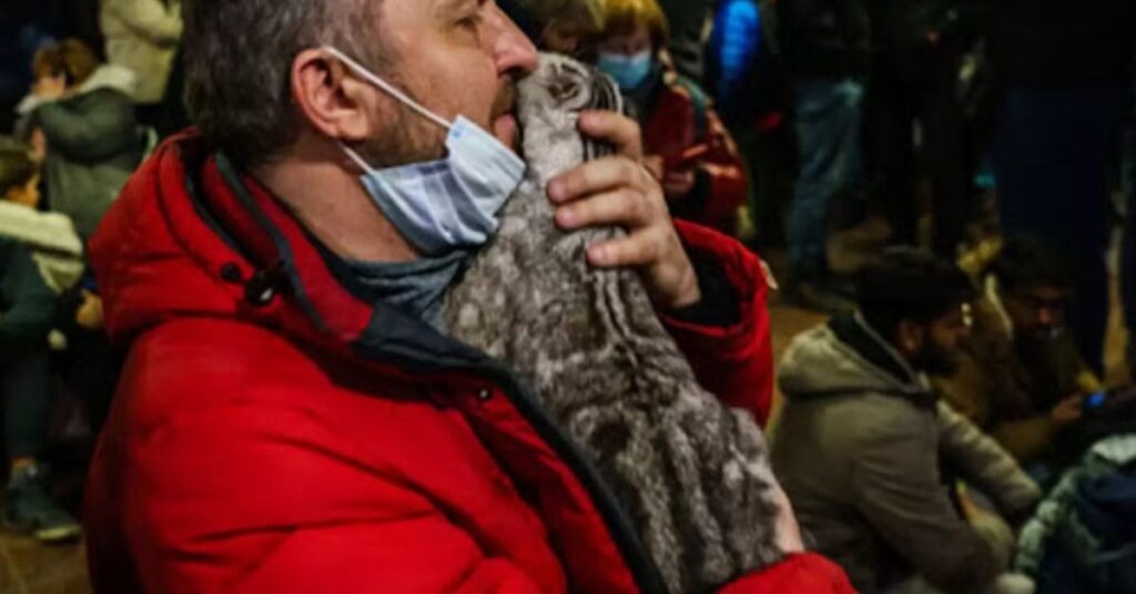 Una donna ucraina conforta un gattino spaventato dalle sirene dei raid aerei